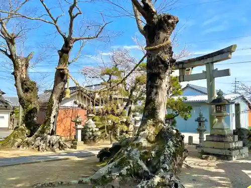 山部神社(滋賀県)