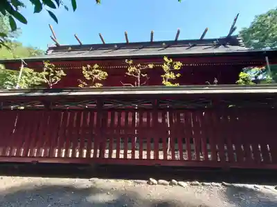 大國魂神社の本殿・本堂