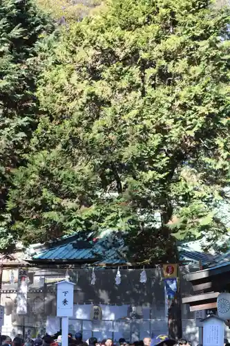 調神社(埼玉県)