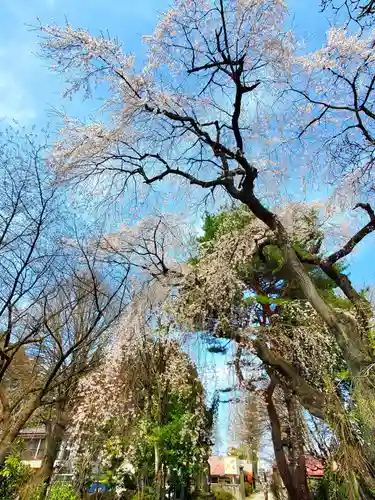 関川寺(福島県)