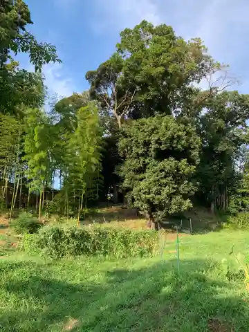 天満宮(千葉県)