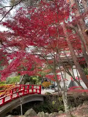 輪王寺(宮城県)