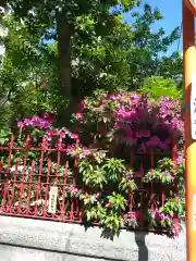 八幡神社(東京都)