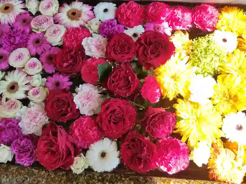 津島神社の手水舎