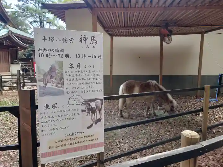 平塚八幡宮(神奈川県)