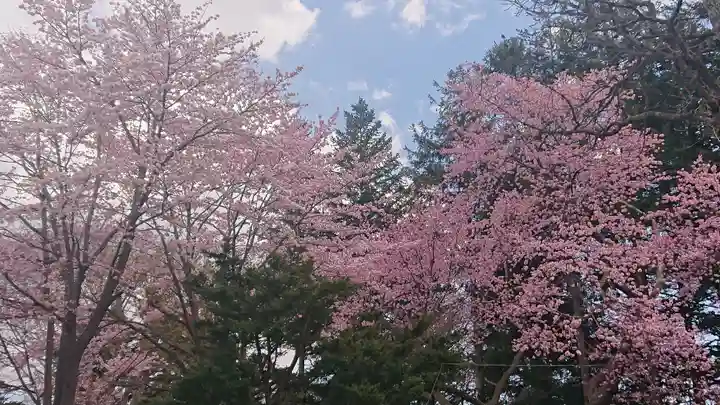 豊栄神社の自然