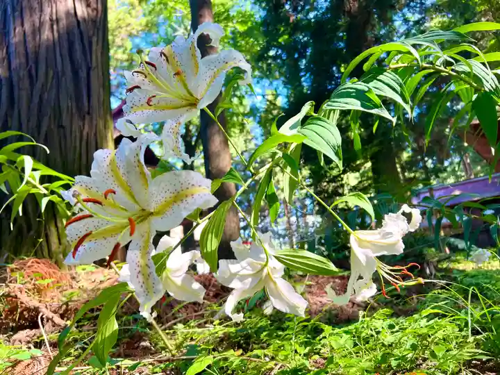 吾妻神社(群馬県)