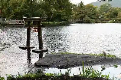 天祖神社(大分県)