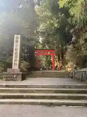 箱根神社の鳥居