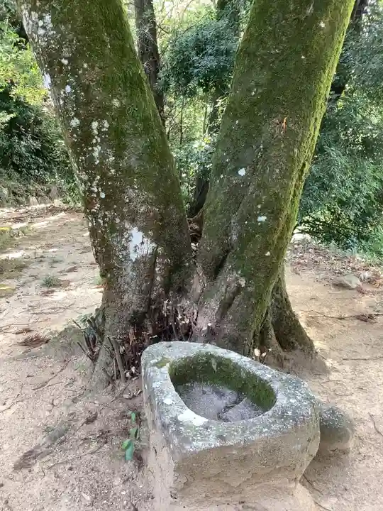 八坂神社(広見東八坂神社)(岐阜県)
