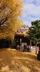 玉敷神社(埼玉県)