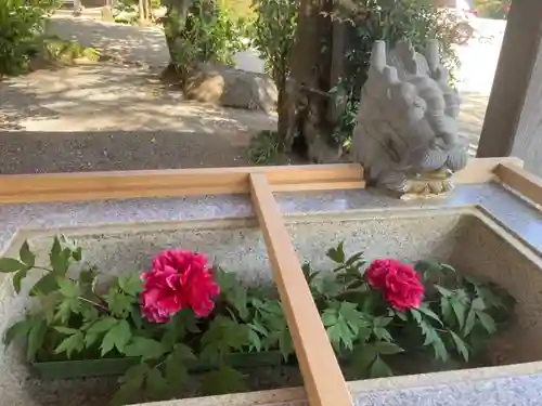 比々多神社の手水舎