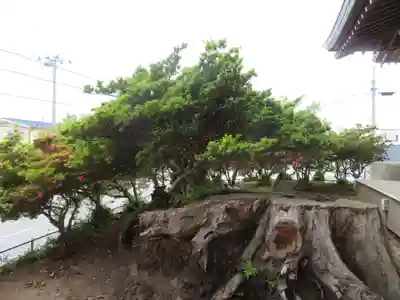 鮫八幡宮(青森県)