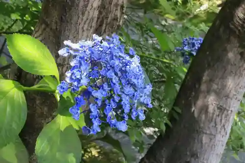 天得院(京都府)