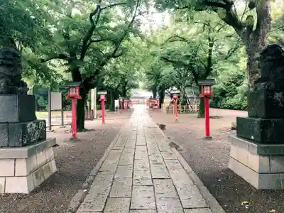 鷲宮神社(埼玉県)
