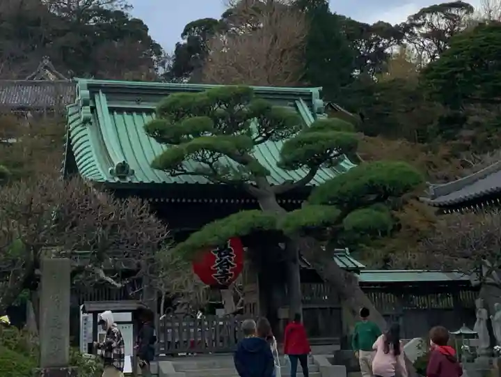 長谷寺(神奈川県)