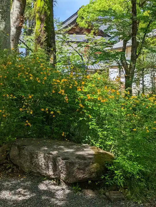 松尾大社(京都府)
