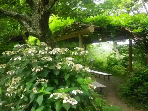 瑞泉寺の庭園