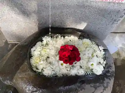 手稲神社の手水舎