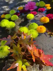 大鏑神社の手水舎(2021年11月05日(金) 16時02分23秒投稿)