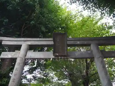 赤塚氷川神社の鳥居