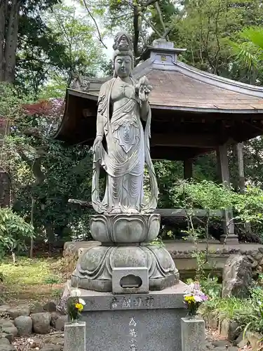 養樹院(圓通庵）の仏像