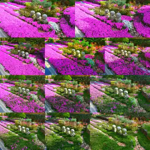 寿量山　速成寺(奈良県)