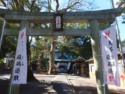 今宮神社の鳥居