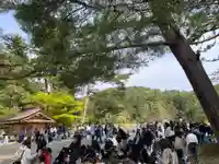 毛越寺(岩手県)