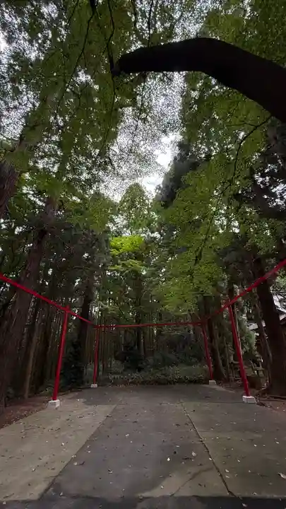 陸奥総社宮(宮城県)