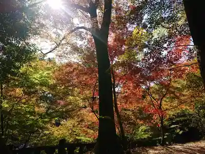 仁比山神社(佐賀県)