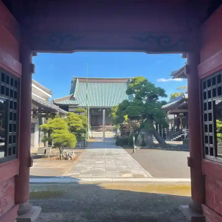 徳願寺の本殿・本堂