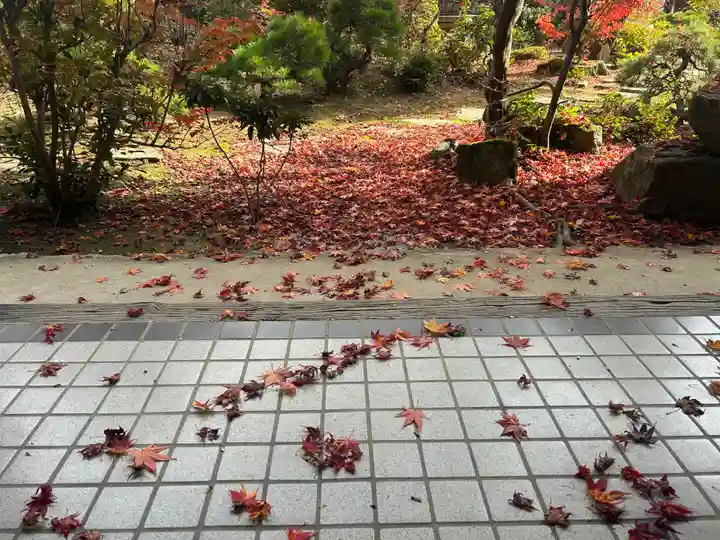 木舟山 順教寺(広島県)