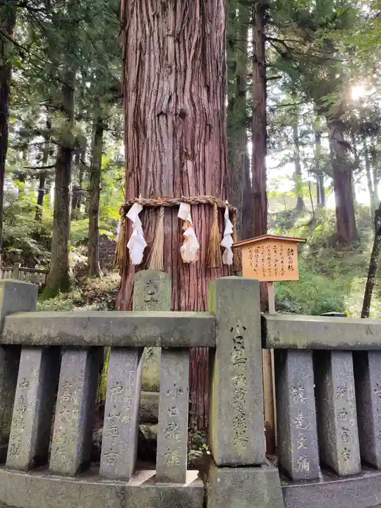 諏訪大社下社春宮の自然