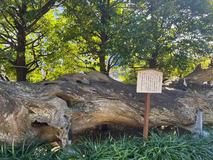 瀬戸神社(神奈川県)