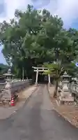 滝神社(愛媛県)