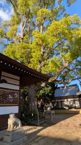 和貴宮神社(京都府)