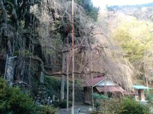 朝日之祖師堂の本殿