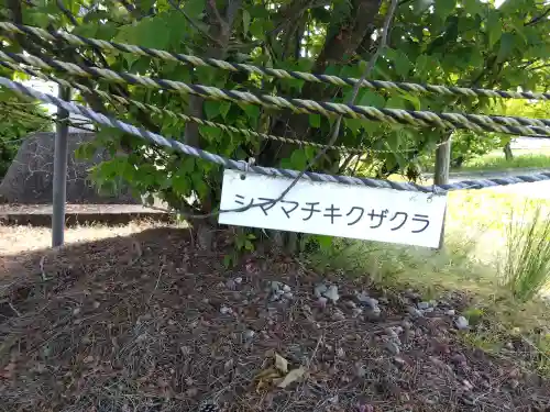 嶋町神社の{uncategorized: "未分類", other: "その他", undefined: "問題あり", building: "その他建物", grave: "お墓", sacred_gate: "鳥居", guardian: "狛犬", statue: "像", buddha: "仏像", history: "歴史", nature: "自然", garden: "庭園", animal: "動物", pagoda: "塔", temizu: "手水舎", mountain_gate: "山門・神門", sanctuary: "本殿・本堂", subordinate: "末社・摂社", art: "芸術", scenery: "景色", jizo: "地蔵", ema: "絵馬", goshuin: "御朱印", omikuji: "おみくじ", items: "授与品その他", amulet: "お守り", goshuincho: "御朱印帳", eats: "食事", festival: "お祭り", votive_dance: "神楽", shichigosan: "七五三参", wedding: "結婚式", experience: "体験その他", initially: "初詣", around: "周辺", anti_infection: "感染症対策"}