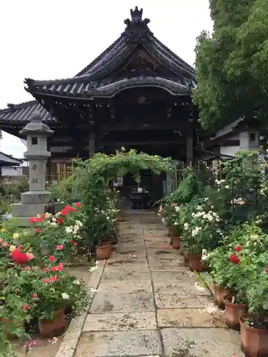 おふさ観音（観音寺）のその他建物