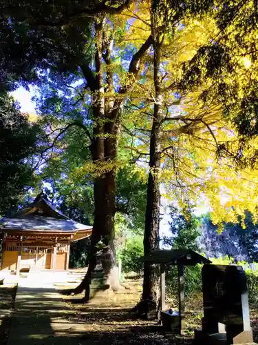 香取八坂神社(茨城県)