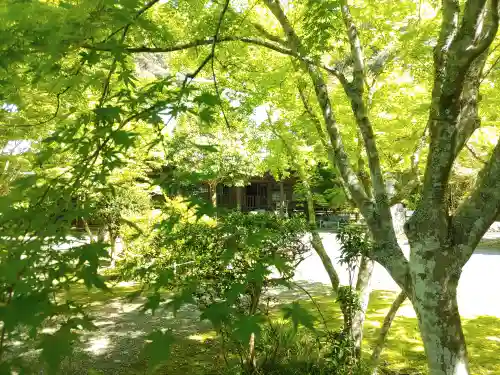 小松寺(千葉県)