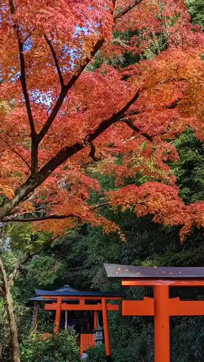 来迎院(京都府)