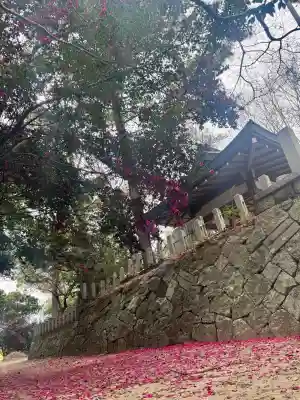 凉森神社(京都府)