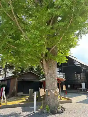 取手八坂神社(茨城県)