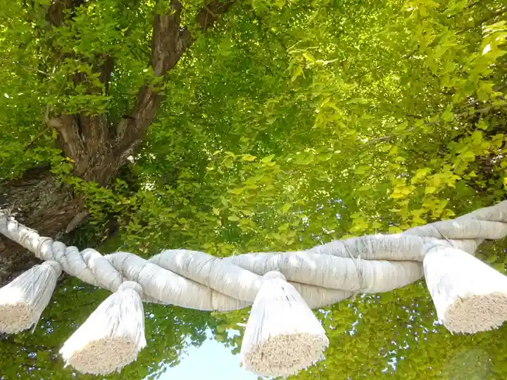 亀ケ池八幡宮のその他建物