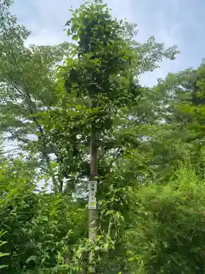 石都々古和気神社(福島県)