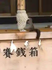 石山神社の動物