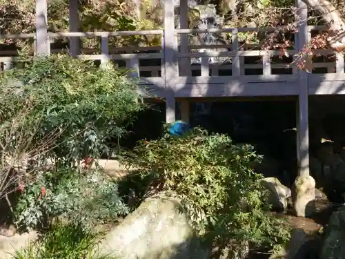 楽法寺（雨引観音）のその他建物