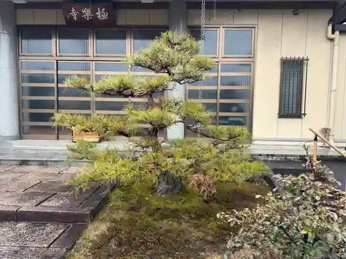 西方山極楽寺(岐阜県)